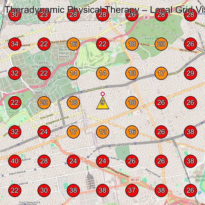 Theradynamic Physical Therapy GeoGrid visibility map for Doctor in Queens